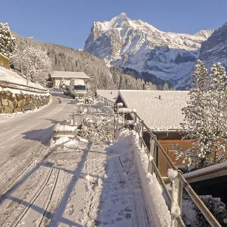 Chalet Ahorn Daire *